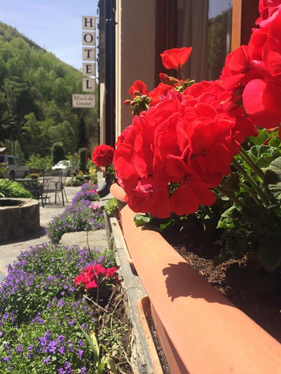 Hotel Llacs De Cardos Tavascan Dış mekan fotoğraf